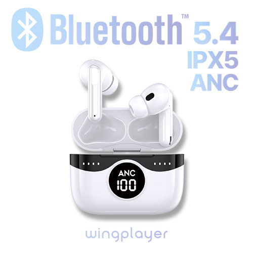 Wingplayer Pro ĵ̾